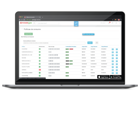 Plataforma PowerGAS en laptop